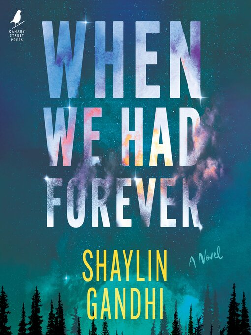 Title details for When We Had Forever by Shaylin Gandhi - Wait list